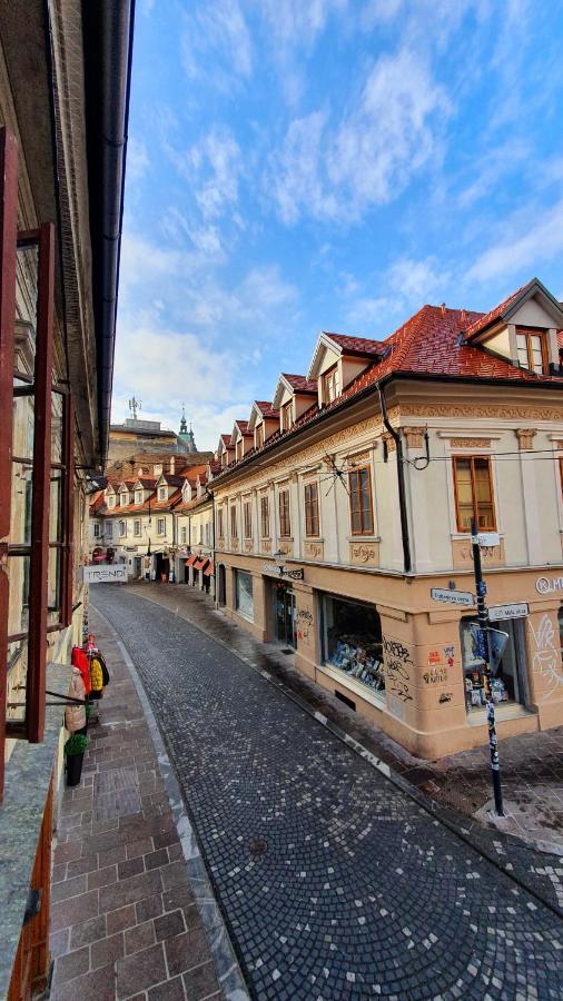 Petkovsek Rooms And Apartments Liubliana Exterior foto